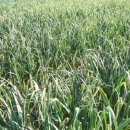 종구농장 이미지