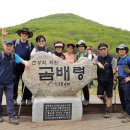 불바라기팬션 이미지