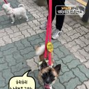 큐티 이미지