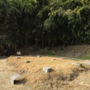 서재필박사 본가지 이미지