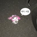 서05-403 | 아직 영종도 살아... 데이식스 FOREVER YOUNG 20240921 후기/ 인스파이어아레나 401구역, 403구역
