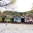[경기도 가평군] 지지벨리 유명산 오토캠핑장 - 사랑하는 사람들과 행복한 추억을 만드는 캠핑장