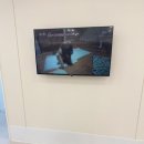 조이앤동물병원 이미지