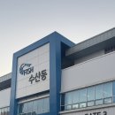 [도로]농수산물 도매시장 | 수원 농수산물 도매시장 방어 참치 시청역 맛집 망치수산 포장 후기