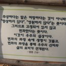 詩 한 수 남기고 하늘로 간 '노숙 시인' 이미지