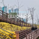 개나리어린이공원 | 경기도 하남 가볼만한곳 미사호수공원 개나리 만개 벚꽃개화 주차