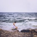 달구지사랑 이미지