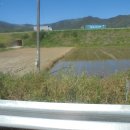 곡성-157 이미지