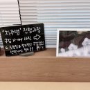 강남예치과동물병원 이미지