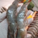 친환경 전라남도 국산 생새우 1Kg 전라남도 함평 팔복수산 후기
