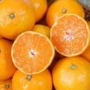 황금과일 이미지