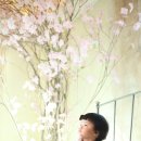 수원-0843 이미지