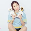 비둘기모사 이미지