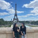 쁘띠댕댕 | 🇫🇷 현실도피 유럽 여행 #2