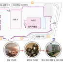 초성김치마을 | 천재학습백과 초등 창의적 체험활동 - 풀무원 김치 박물관