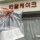 [안산 레터링 케이크] :: 반달케이크 :: 안산 도시락케이크 맛 + 디자인 후기