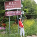 성림사 이미지