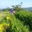 옐림농장 이미지