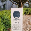 나무향기 이미지