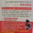 동차선가 이미지
