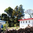 포토갤러리자연사랑 미술관 이미지