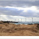 서부해안로 이미지