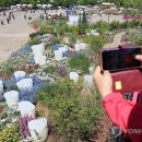 뚝섬한강공원-22 이미지