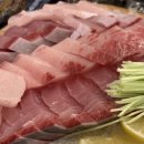 바다애 티스토리