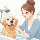 마이리틀프렌드위탁목욕
