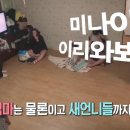 흥부네이야기 이미지