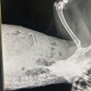 무리개농장 이미지