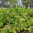 오행쑥뜸라이프 이미지