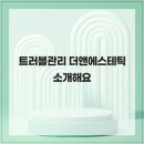 앤에스테틱 네이버블로그