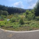 하빈면사무소 이미지