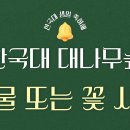 월드잡이라고 나라에서 해외취업 지원해주는 사업있거든 거기서 멕시코 취업연수 신청해서 7월에 가는데 이미지