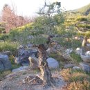 지리산농장 이미지