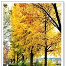 송정동-13 이미지