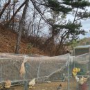 용당내광로 | 경남 양산시 대운산 참숯 찜질방 자연 속 참숯 힐링 솔직 후기