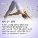 도그의 하루 이미지