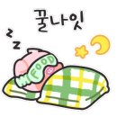 지해림