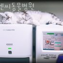 디엔씨동물병원 이미지