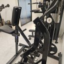 블랙맘바짐 | 마들역헬스장 블랙맘바짐 마들역점 중량 올리는 방법 배운 후기