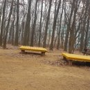 박영우의원 | 설악산첫눈계단을 오르는 발걸음도 스릴