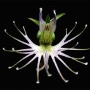 반포삼정공인중개사사무소 이미지