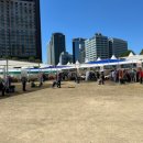 hot영양 | [서울 시청] 서울광장 영양고추 HOT 페스티벌 축제 후기