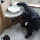 임마누엘피부과의원 이미지