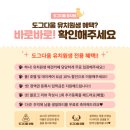 도그다움 | 동탄 애견 유치원 도그다움 3개월차 후기