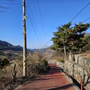 소나무흙집민박 이미지