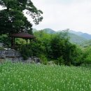 선암산(381m)깃대봉(365m△이원445).작은천앙봉(409m)/충남금산 제원면 이미지