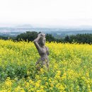 제주 memory 이미지